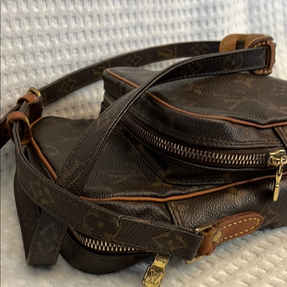 Louis Vuitton Amazon Crossbody Bag - Picture 12 of 14